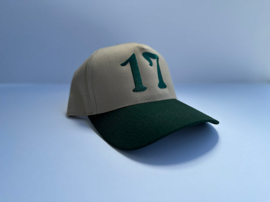 TAN AND GREEN 17 CAP